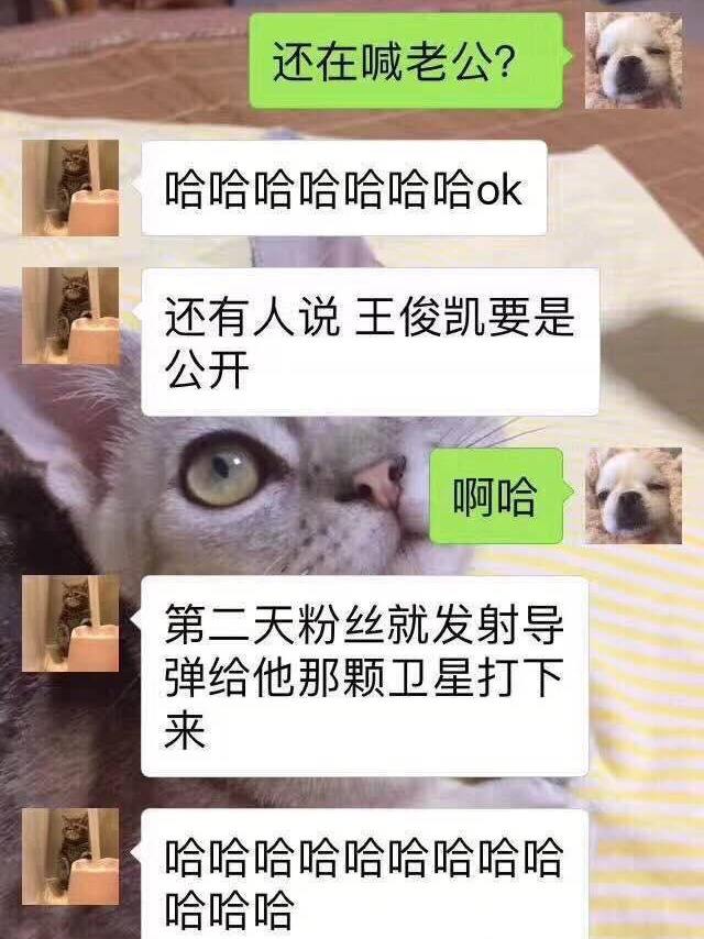 鹿晗追关晓彤聊天记录(鹿晗向关晓彤表白聊天记录)