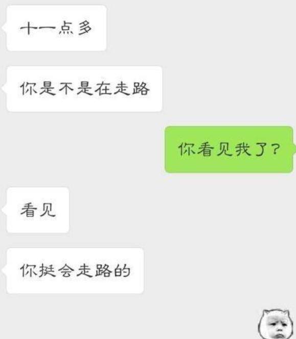 就我一个单身聊天记录的简单介绍