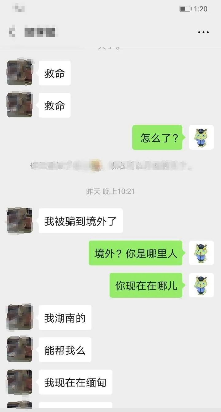 抖音胜子和大姐聊天记录(抖音主播胜仔聊天记录事件)