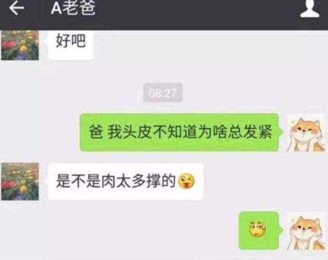 男朋友让爸爸看儿媳妇聊天记录的简单介绍