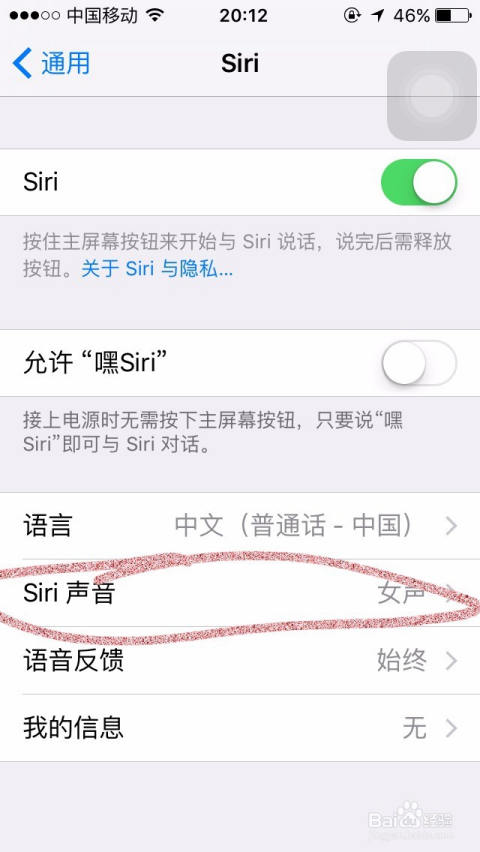 如何用siri查看聊天记录(怎么查找与siri 的聊天记录)