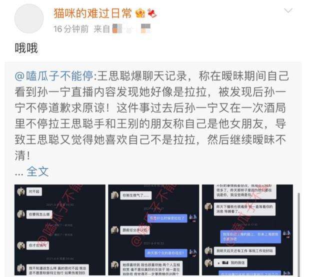 孙一宁王思聪聊天记录豆瓣的简单介绍