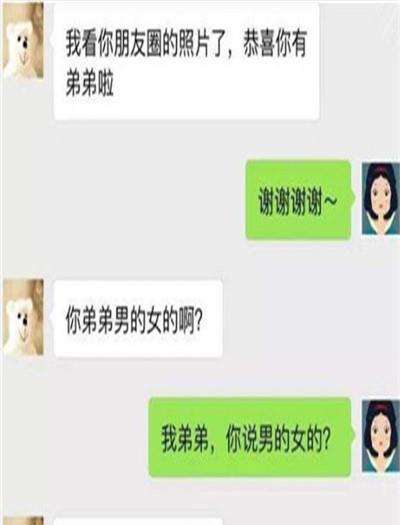 关于微信聊天记录无语段子的信息