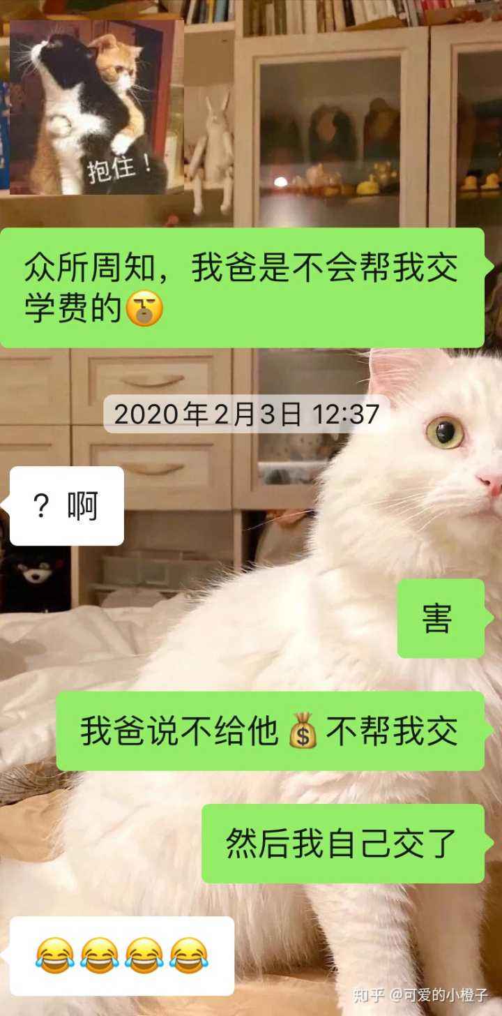 和爷爷奶奶的聊天记录的简单介绍