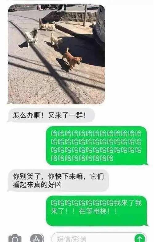 往楼下看聊天记录(怎么爬楼看聊天记录)