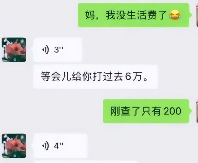 找父母要钱还房贷聊天记录(父母帮忙还房贷需要什么信息)