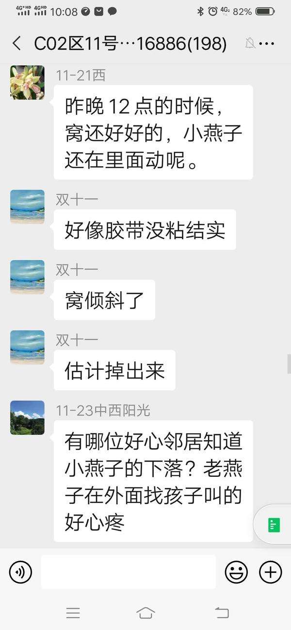 包含老公和燕子聊天记录的词条