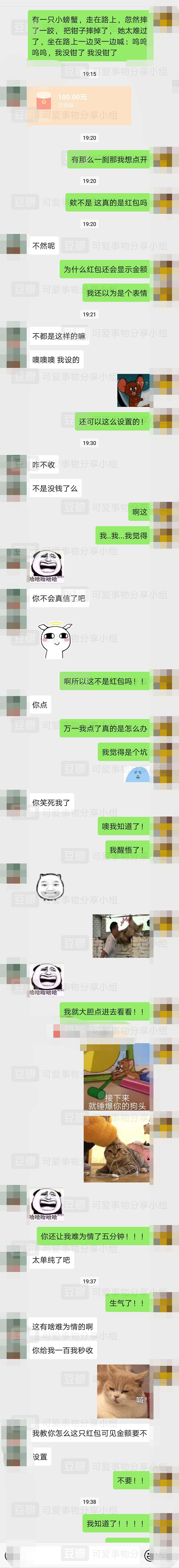 关于傻女朋友聊天记录的信息