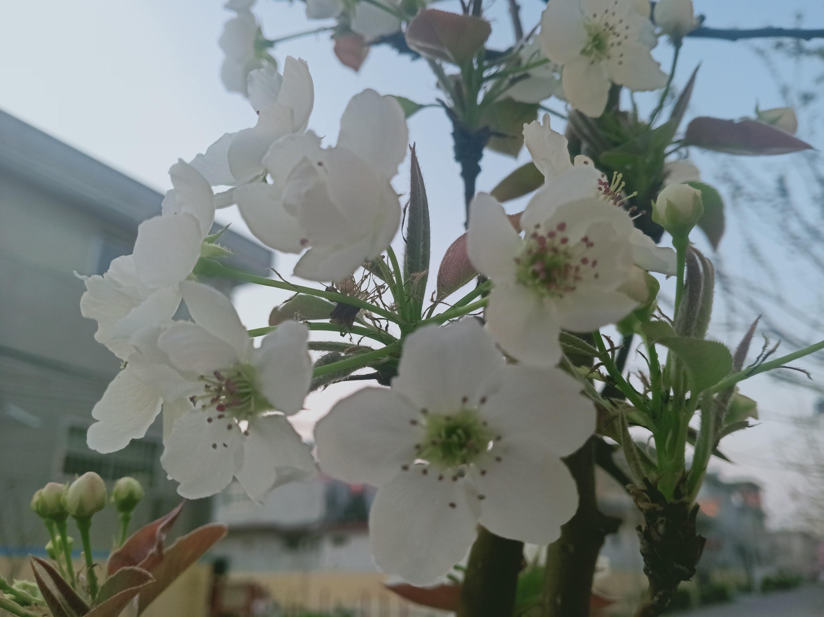 包含聊天记录春暖花开奔你而来卡点的词条