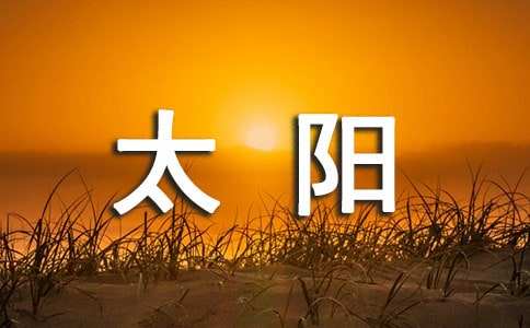 和太阳聊天记录550字(和太阳聊聊天450字作文)