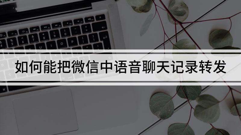 微信聊天记录的语音怎么导出(微信聊天记录语音怎么导出来做成文档)