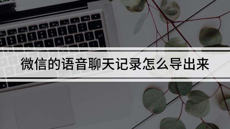 微信中多人语音聊天记录(微信语音多人聊天怎么操作)