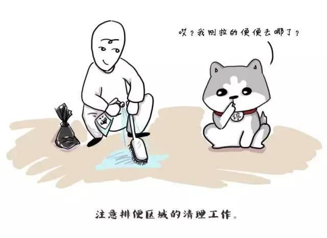 包含狗女人只配吃屎聊天记录的词条