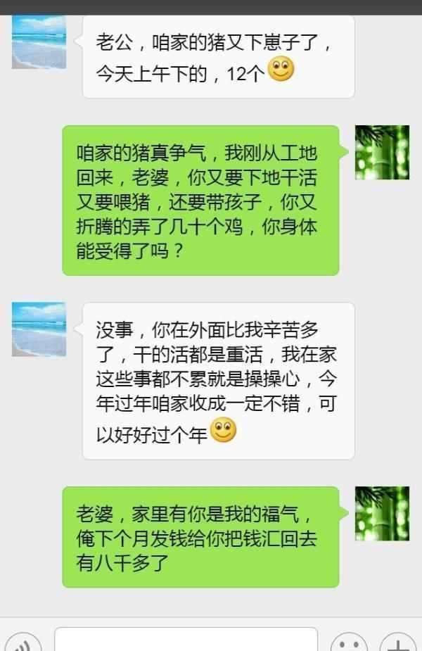 包含儿子和儿媳的聊天记录的词条