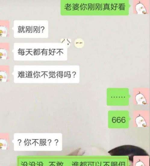 包含如何跟狗狗聊天记录的词条