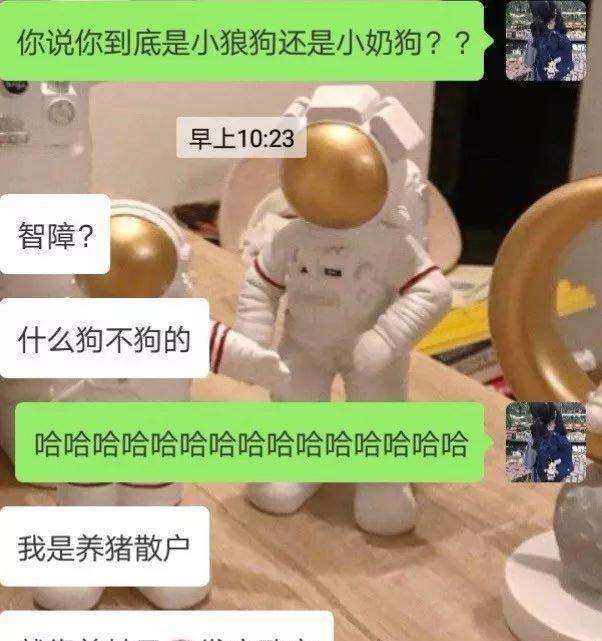 与钢铁直男的语音聊天记录搞笑的简单介绍