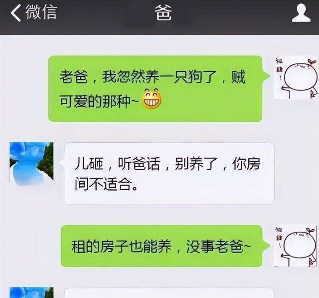 喜欢看儿子的聊天记录(家长喜欢看孩子的聊天记录)