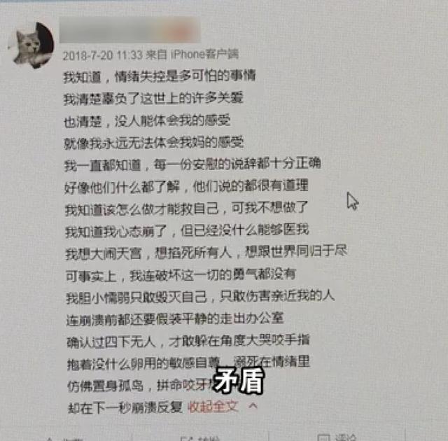 女孩洛洛母亲和弟弟的聊天记录的简单介绍