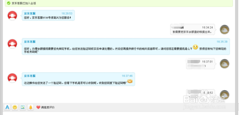 手机京东客服聊天记录在哪(手机京东的京东客服在哪里找到)