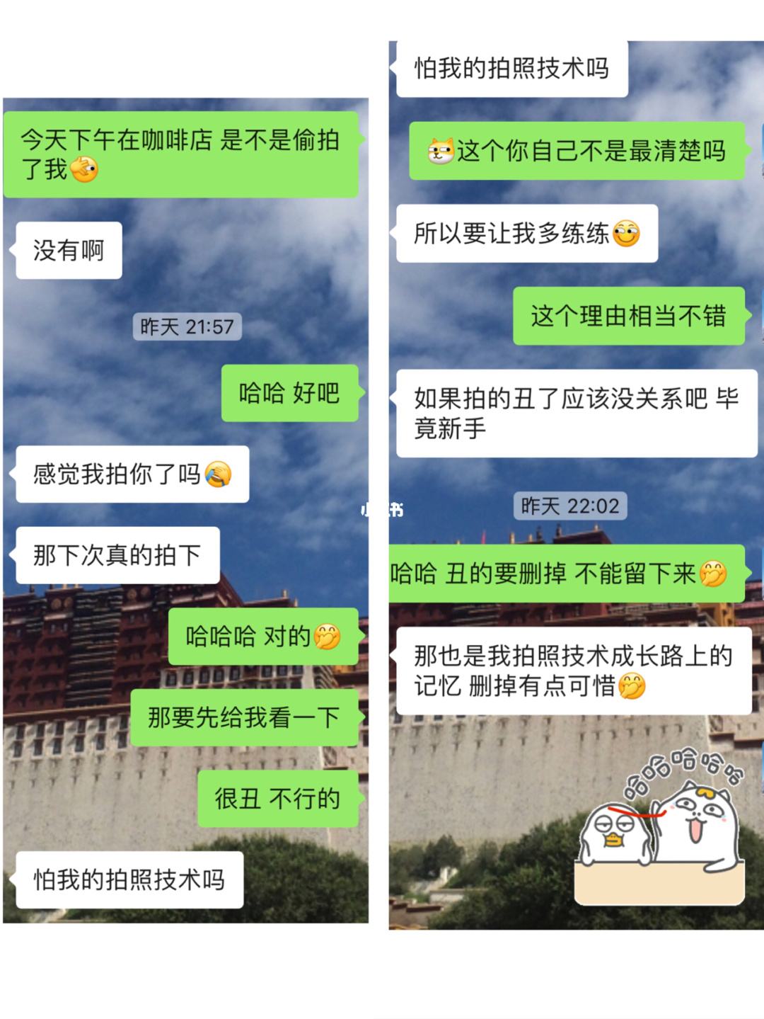 给女朋友求婚聊天记录(如何向女朋友求婚 说话)