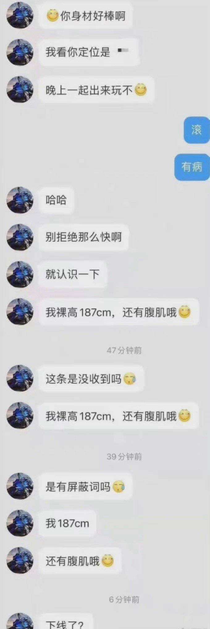 关于说自己20厘米的聊天记录的信息