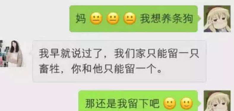 和妈妈说的那些话聊天记录的简单介绍