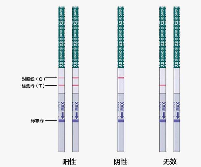 一条杠怀孕聊天记录(一条杠是怀孕了吗图片)