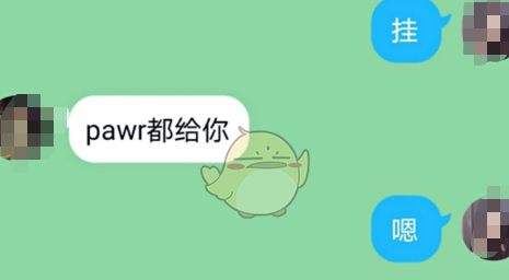 网络用语聊天记录是什么意思的简单介绍