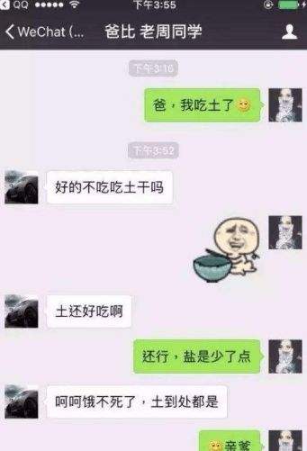 李迪迪父母跟艳艳父母聊天记录的简单介绍