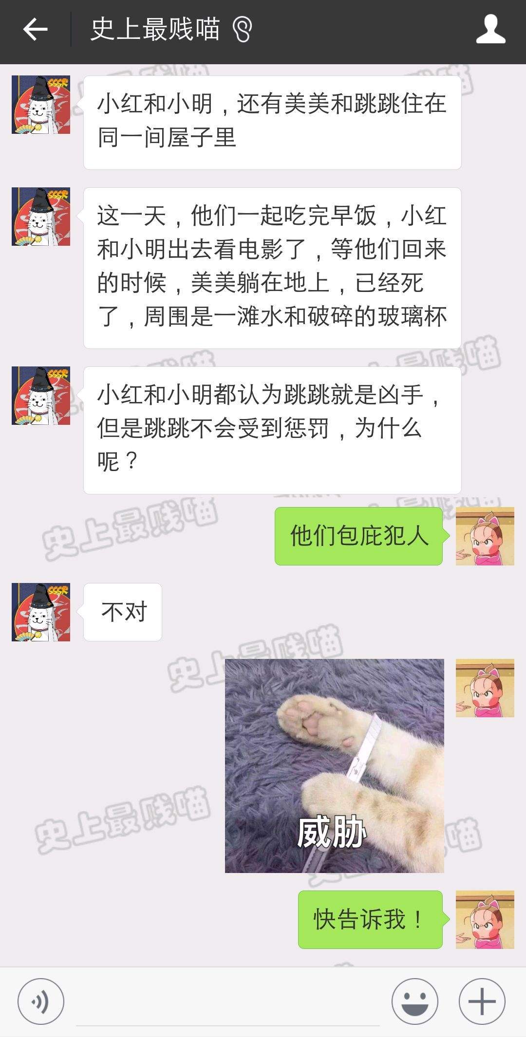 关于丰晨敏朋友圈聊天记录的信息