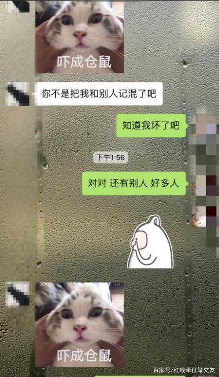 微信全是美女聊天记录(微信与女孩聊天幽默记录图片)