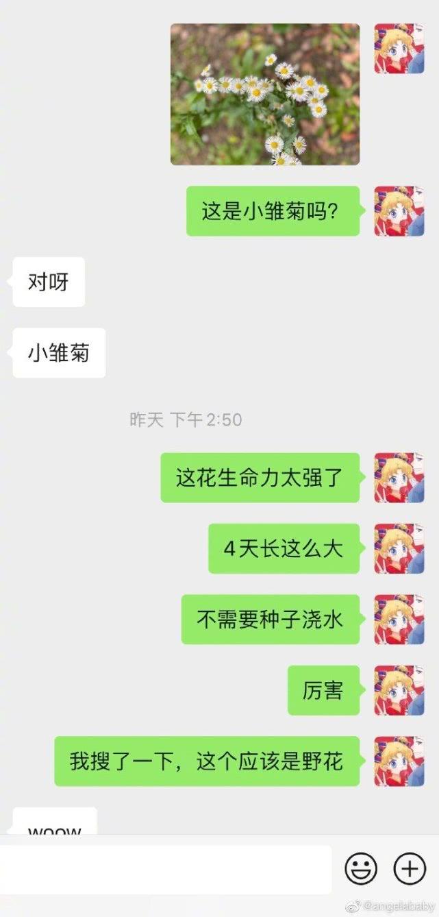 一个人默默翻聊天记录(经常翻一个人的聊天记录)