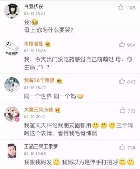 女嘉宾和孩子聊天记录的简单介绍