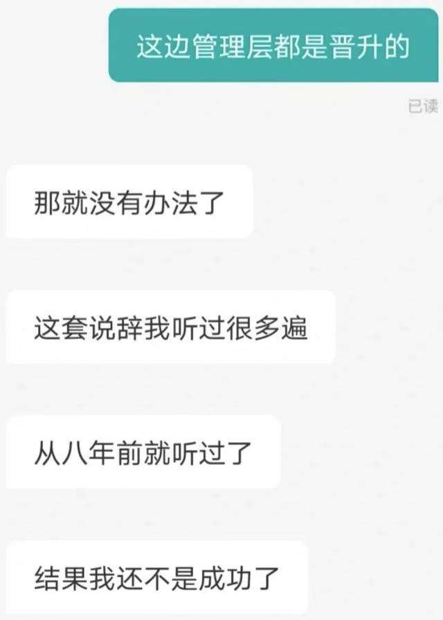 包含线上求职完整聊天记录的词条