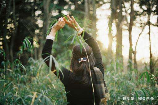 包含冷暖自知的聊天记录的词条