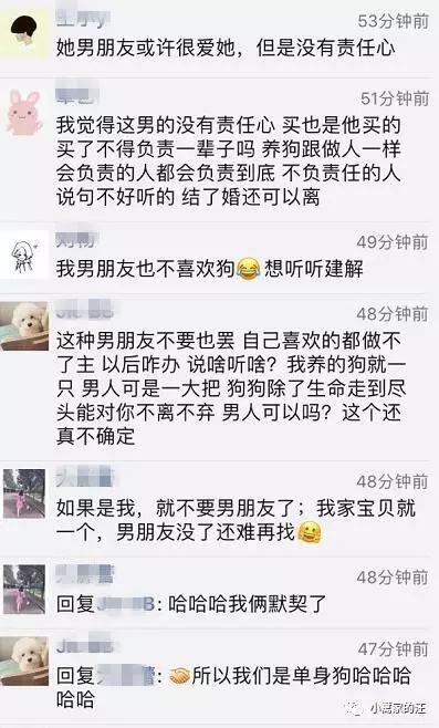 爱狗狗狗狗爱聊天记录截图的简单介绍