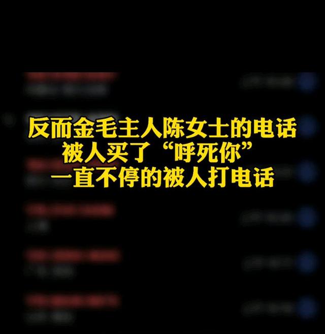 狗sir事件聊天记录的简单介绍