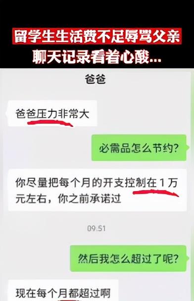 关于爸爸和女儿的卡通聊天记录的信息