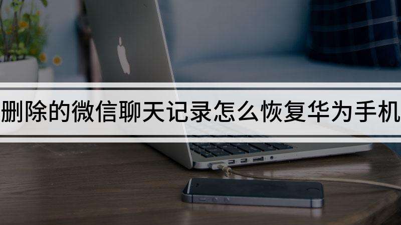 怎么查看被删的聊天记录华为(华为怎么查看被删除的通话记录)