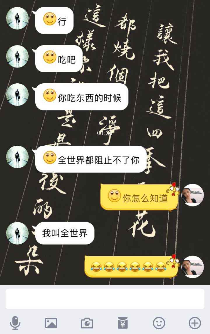 关于一起放烟火聊天记录的信息