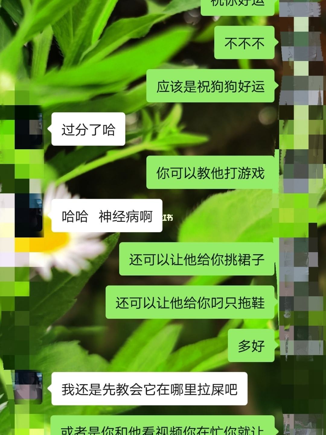 关于网调耻辱聊天记录的信息