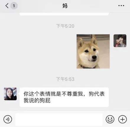 包含和妈妈聊天记录纪实表情包的词条