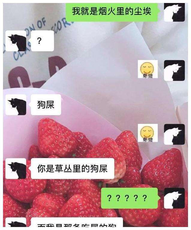 想看到一个人想聊天记录(你有没有想一个人的时候就翻看聊天记录)