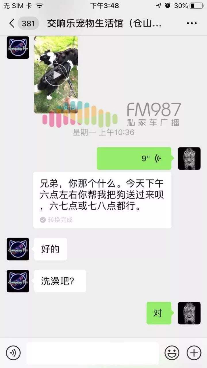 微信号被盗狗聊天记录大全(怎么盗微信号只需要聊天记录)