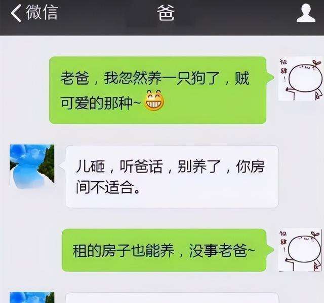 大学晚会晒聊天记录(大学毕业晚会发言一分钟)