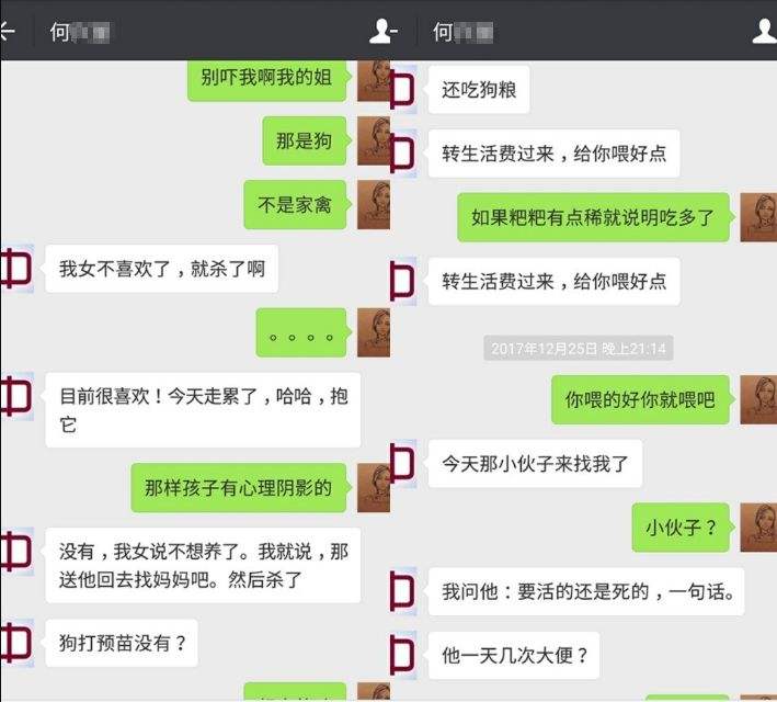 关于如何跟狗狗聊天记录的信息