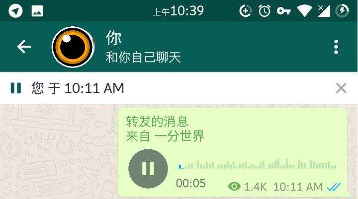 看聊天记录听语音(怎么看语音聊天记录)