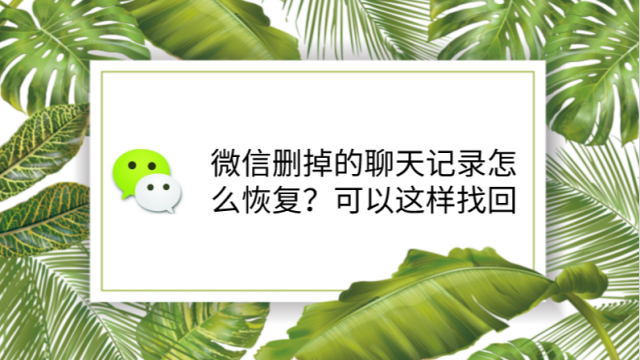 微信红包删聊天记录(微信发红包删除聊天记录)