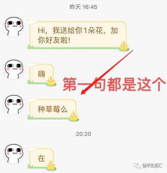 关于非常狗血的聊天记录的信息