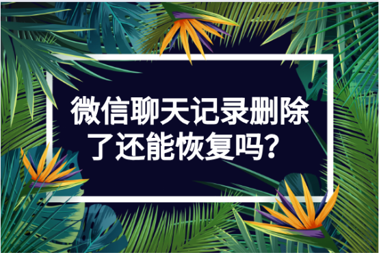 聊天记录还会在其他端出现吗(最近的聊天记录会不会在另一个手机上出现)